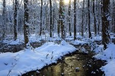 Tourist destination images of Sasamaki Bog(5)