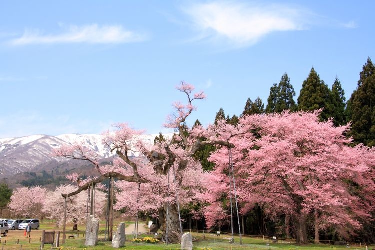 Kamanokoe Rural Park