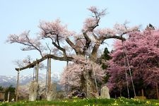 Tourist destination images of Kamanokoe Rural Park(3)