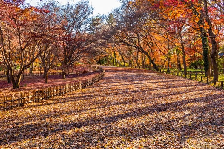 Jindai Botanical Garden