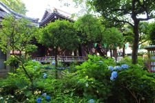 白山神社的旅游景点图片(3)