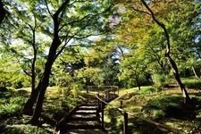 Tourist destination images of Tonogayato Garden(4)