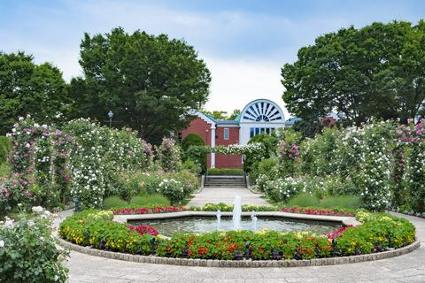 港見丘公園（橫濱：山手・元町地區）