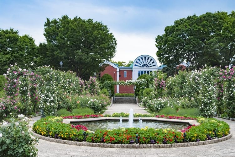 Harbor View Park