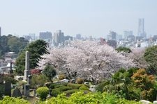 Tourist destination images of Yokohama Foreign Cemetery(3)