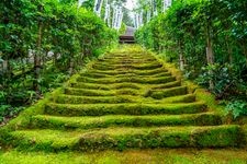 Tourist destination images of Sugimoto-dera Temple(3)