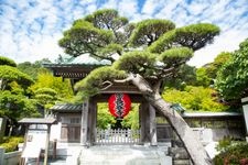 Tourist destination images of Hase-dera Temple(3)