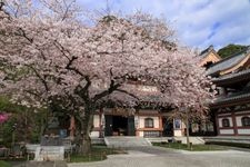 Tourist destination images of Hase-dera Temple(3)