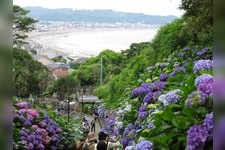 Tourist destination images of Hase-dera Temple(4)