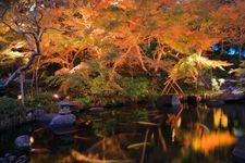 Tourist destination images of Hase-dera Temple(7)