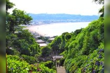 Tourist destination images of Jojuin Temple(1)