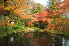 Tourist destination images of Tsurugaoka Hachimangu Shrine(3)