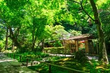 Tourist destination images of Meigetsuin Temple(3)