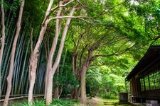 Tourist destination images of Eisho-ji Temple(1)