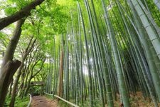 Tourist destination images of Eisho-ji Temple(5)