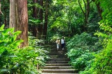 Tourist destination images of Zuizen-ji Temple(4)