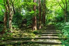 Tourist destination images of Zuizen-ji Temple(5)