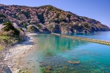 Tourist destination images of Kamiko's Mountain Cherry Blossoms(3)