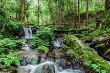 Tourist destination images of Ubagari Falls(3)