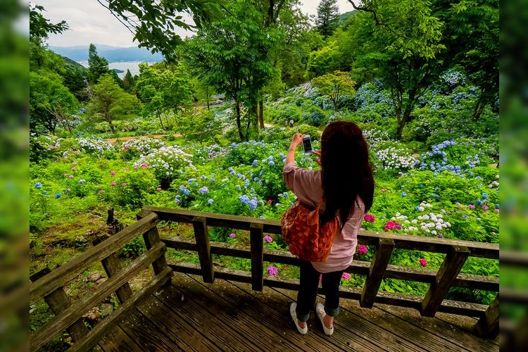 Maizuru Nature and Culture Park