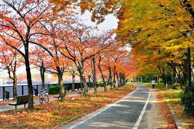 Kema Sakuranomiya Park