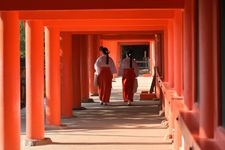 Tourist destination images of Kasuga Taisha Shrine(1)