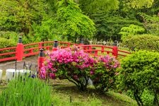 Tourist destination images of Kasuga Taisha Shrine(7)