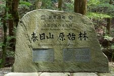 Tourist destination images of Kasuga Primeval Forest(2)