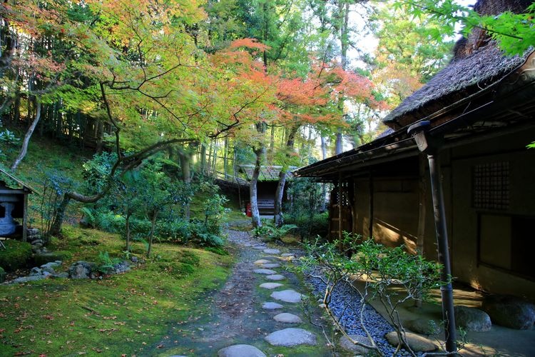 吉城園（奈良公園）