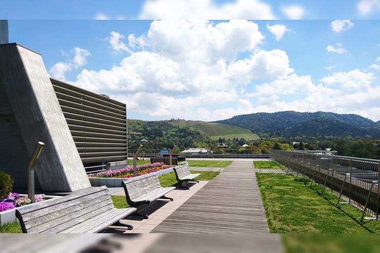 Nara Prefectural Government Office Rooftop Garden