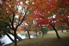 Tourist destination images of Old Daijyoin Garden(3)