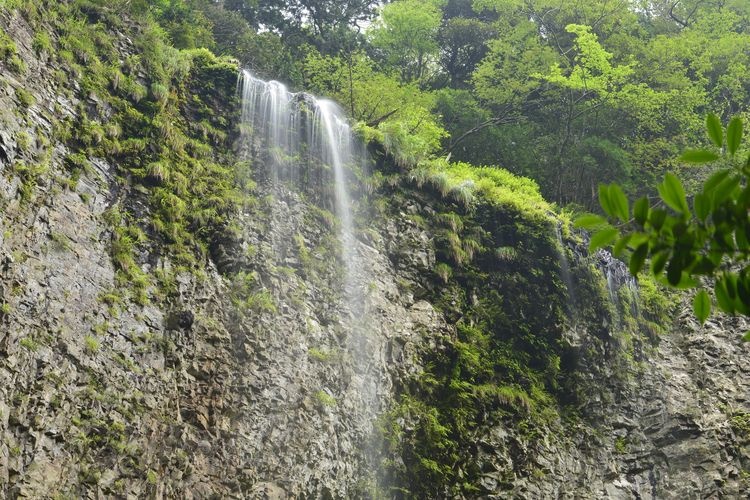 隐岐诸岛（岛后：隐岐之岛）的旅游景点图片(2)
