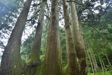 隐岐诸岛（岛后：隐岐之岛）的旅游景点图片(5)