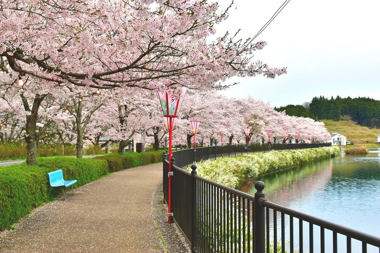 Ueno Park