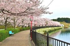 Tourist destination images of Ueno Park(1)