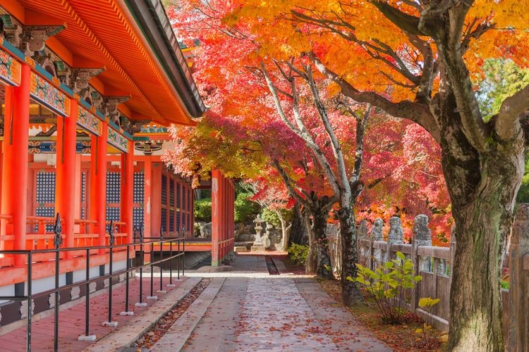 功山寺（城下町長府地區）