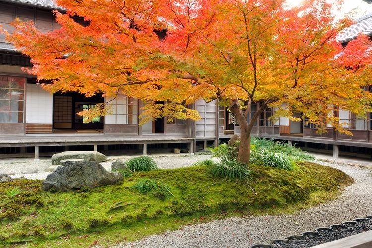 Tourist destination images of Chofu Mori Residence(3)