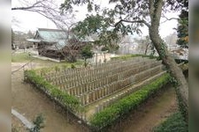 Tourist destination images of Sakurayama Jinja Shrine(3)