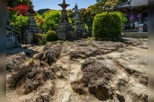 Tourist destination images of Maze Town(3)