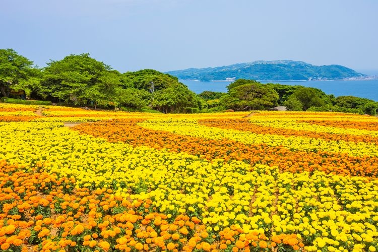Nokonoshima