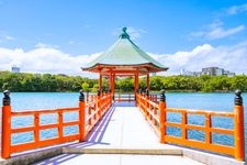 Tourist destination images of Ohori Park(1)