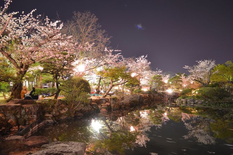 지노 공원(神野公園) 3