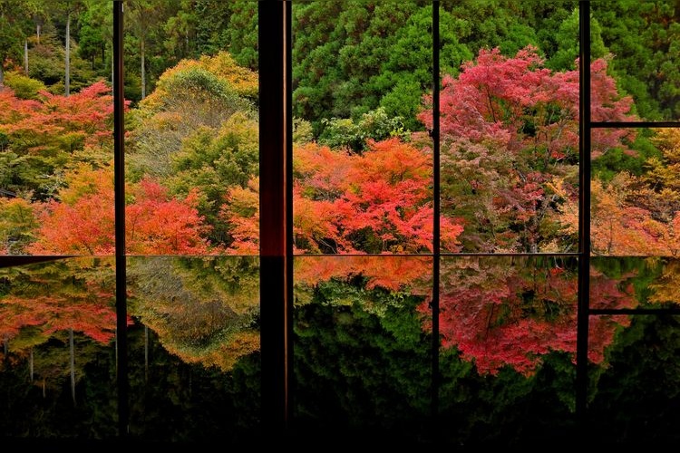 Tourist destination images of Kankyō Geijutsu no Mori (Environmental Art Forest)(3)