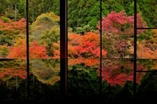 Tourist destination images of Kankyō Geijutsu no Mori (Environmental Art Forest)(3)
