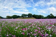 展海峰（九十九岛）的旅游景点图片(1)