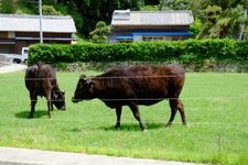Tourist destination images of Catholic Kusunbara Church(1)