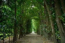 Tourist destination images of Kochiyama Observatory(7)