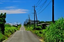 Tourist destination images of Kochiyama Observatory(9)