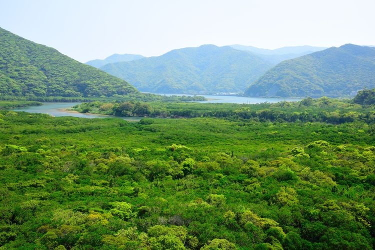 Tourist destination images of Kochiyama Observatory(11)