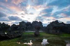 冲永良部岛的旅游景点图片(1)